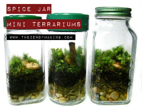 https://www.redhandledscissors.com/wp-content/uploads/2012/04/Spice-Jar-Mini-Terrarium_tzom.jpg