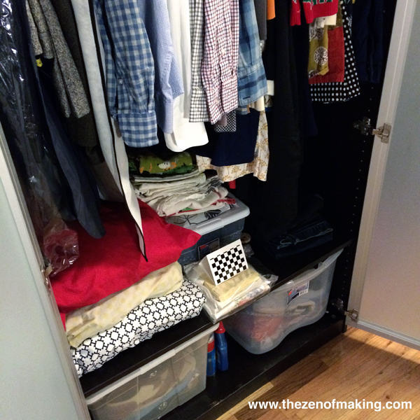 How to Get Rid of Mothes in a Closet