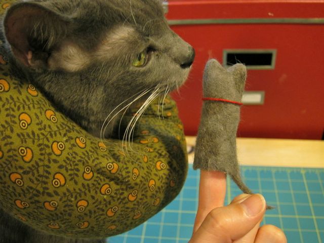 Crafting with cat hair : r/funny